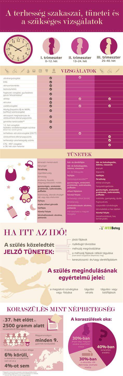 Korai terhesség tünetei infografika