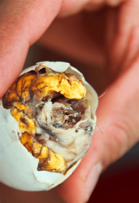 Vietnámi balut tojás tálalása