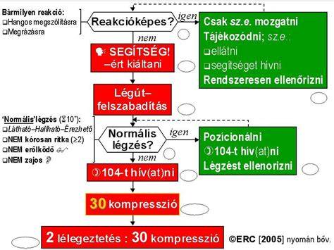 Hőguta elsősegély lépései