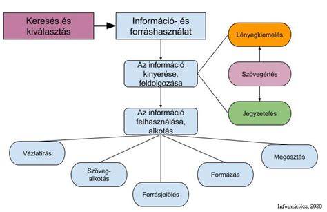 A méhátültetés főbb lépései