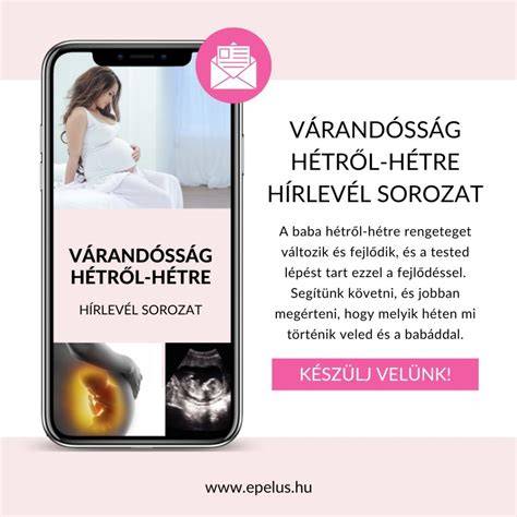 várandósság trimeszterei vizsgálati idővonal