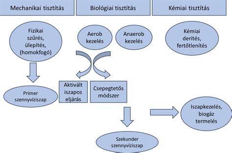 kolonoszkópos vizsgálat sematikus ábrája