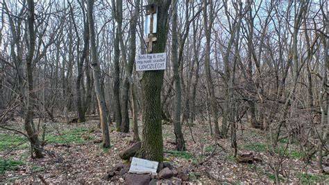 Napfény lombokon átszűrődve erdei ösvényen