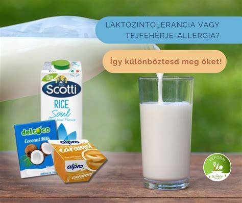 laktózintolerancia és tejfehérje allergia összehasonlítása